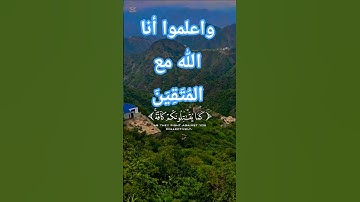 قرأن كريم تلاوة خاشعة راحة نفسية بصوت جميل #قرآن #قران_كريم #elmulquranعلم #المصحف