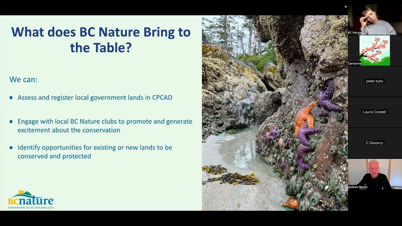 Municipal Protected Areas Project Webinar - BC Nature & Land Trust Alliance of BC, February 20 2025