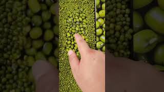 Samsung galaxy s24 ultra display quality #smartphone #samsung#audio