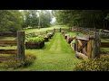 Charming Farmhouse Vegetable Garden Fence Ideas to Add Rustic Charm to your Yard