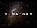 「南十字星 」 福寿草