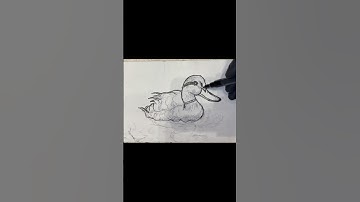 Duck #duck #drawing #canvaspainting #animalart #art #artwork #sketch  #artist #trending #fyp #viral