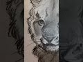 Sketch :) #art #ocartist #drawing #oc #reels #sketch #draw #tiktok #instagram #cool