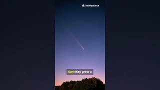 comet vs asteroid vs meteor vs meteoriod