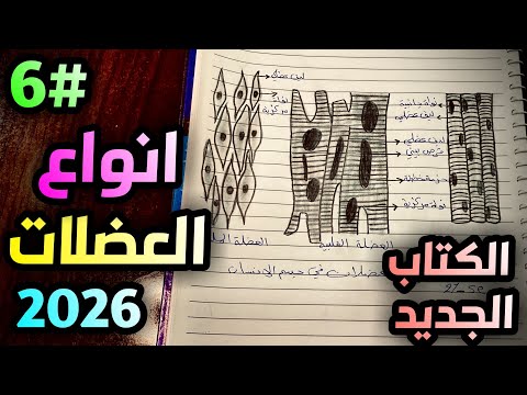 رسم أنواع العضلات القلبية والهيكلية والملساء في جسم الإنسان للصف الثالث متوسط الفصل الثالث صفحه 33