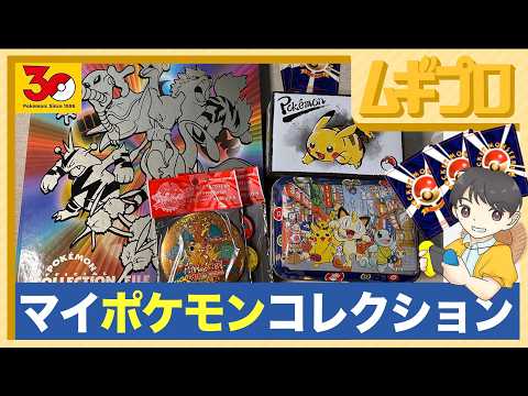 旧裏面】マイポケモンコレクション｜ポケモン30周年（ポケモンカード