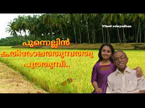 punnellin-kathirola-f(made-in-usa)vinod-velayudhan
