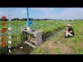 田舎の誰も釣りをしないレンコン畑の水路で釣りをしたら…そこには極小の世界が広がっていた！