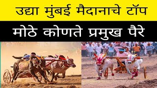 उद्या बकासुर मथूर भुंगा घोट सर्जा लखन सर्जा १०१०रैना मेहबूब देवा कोणत्या टॉपच्या पैऱ्यात पळणार आहेत 