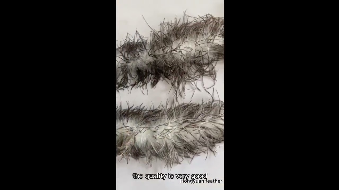 ostrich feather boa dyed tip