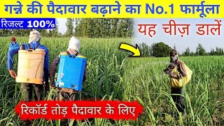 गन्ने की बढ़वार ग्रोथ अच्छी होगी गन्ने ज्यादा बनेंगे ganne ki tilering Jyada fertilizer use