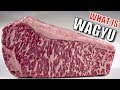 What is Wagyu?