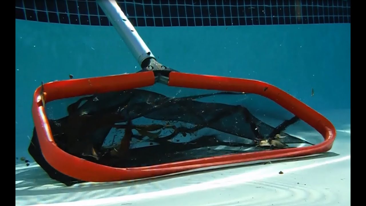 ProTuff 19" Swimming Pool Leaf Rake with 100 Lifetime Guarantee YouTube