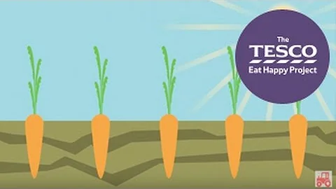 Crunchy Carrots: from farm to fork