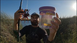 Berkley Moeba Caught a Tank!!(CA, Delta)