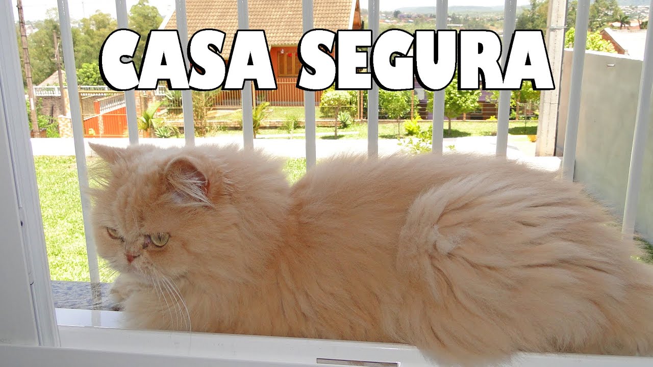 Telas/redes de proteção - CASA SEGURA PARA OS GATOS NÃO IREM NA RUA  - Gatil Hauser