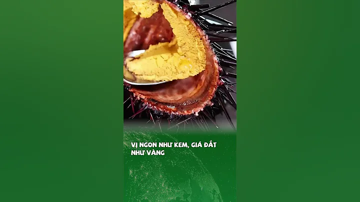 Vị ngon như kem, giá đắt như vàng #khampha