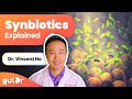 What are synbiotics  gutdr miniexplainer