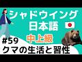 【話す&聞く練習がしたい人】 シャドウイング日本語 中上級 テーマ:クマの生活と習性 intermediate level