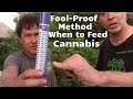 より多くの花のために大麻植物に栄養素をいつ供給するかを知るための絶対確実な方法