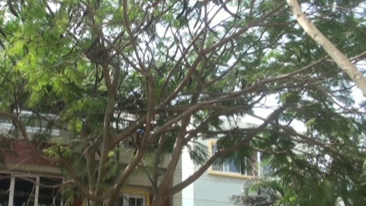 Boys PG (Andra Mess)| Vidyagiri |8867999507| Daneshwari Nagar | 3rd cross...  Dharwad👭📚