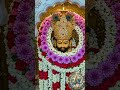 khatu shyam baba ke darshan 🙏😍#shortsfeed