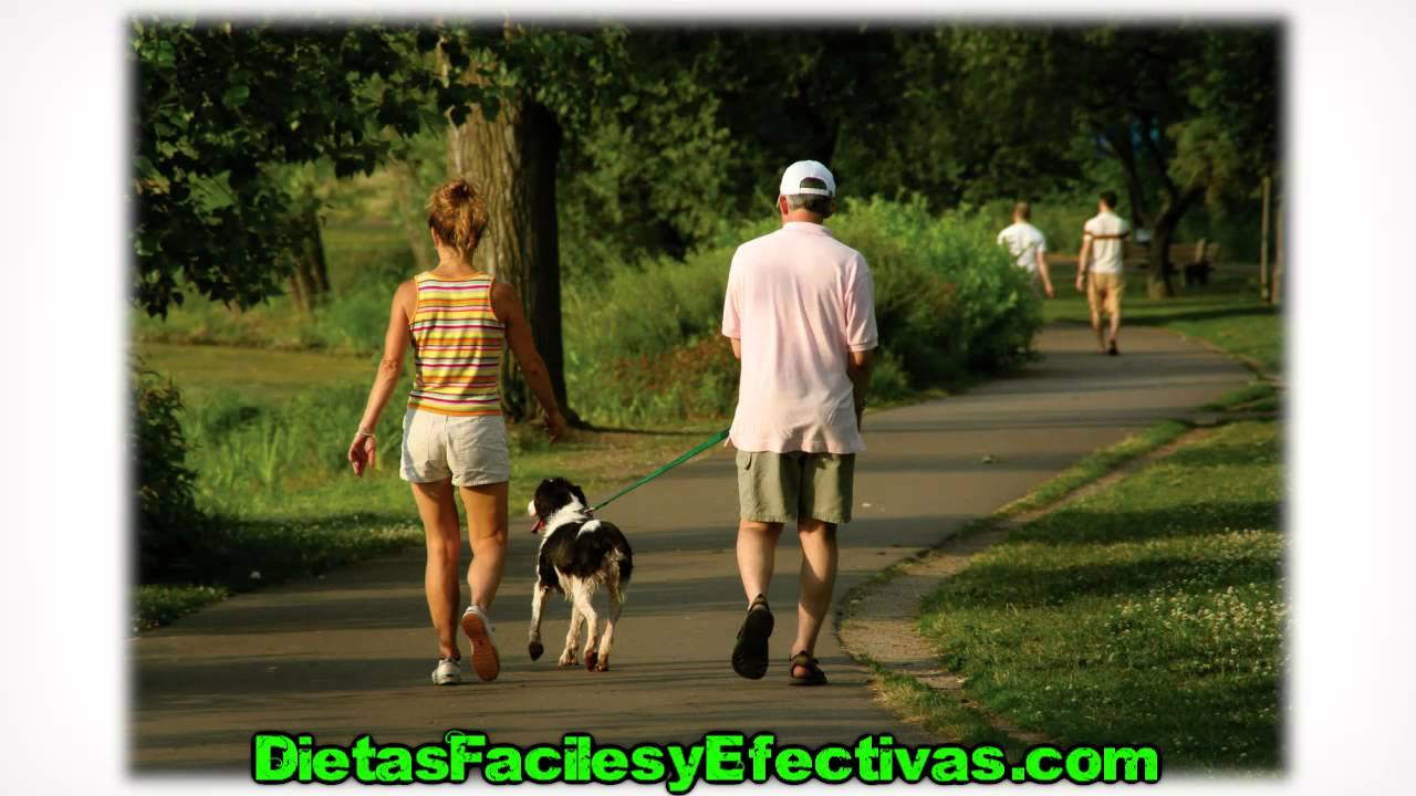 perder barriga en un mes Que Hacer Para Bajar De Peso - Una Guia Facil y Efectiva Para Ti [HD]