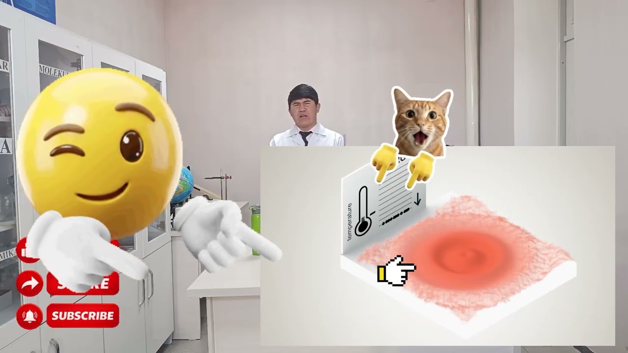 Agregat holatlarni oʻrganish.