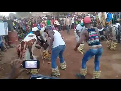 Download Danse traditionnelle de bissa