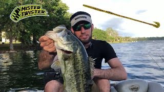 Bass Fishing - Mag12 BUZZ Worm