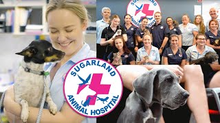 WELCOME TO SUGARLAND ANIMAL HOSPITAL