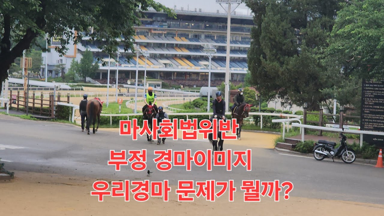 마사회법 위반 이대로 좋은가? 규정위반, 부정, 경마이미지