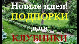 Новые ИДЕИ! ПОДПОРКИ для КЛУБНИКИ / Своими руками