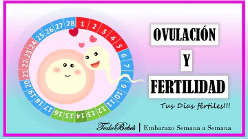 ¿Cuántos días de alta fertilidad antes del pico es normal?