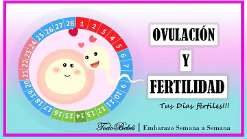 ¿Qué días son de alta fertilidad?