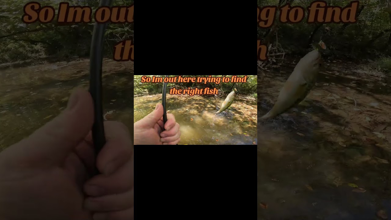 Guess I have to keep on fishing #fishing #fyp #outdoors #reeltnfishing