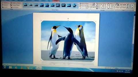 Computer( class 5 )🖥 CHAPTER - 4