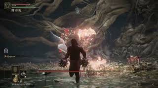 Malenia Boss Fight (RL1)