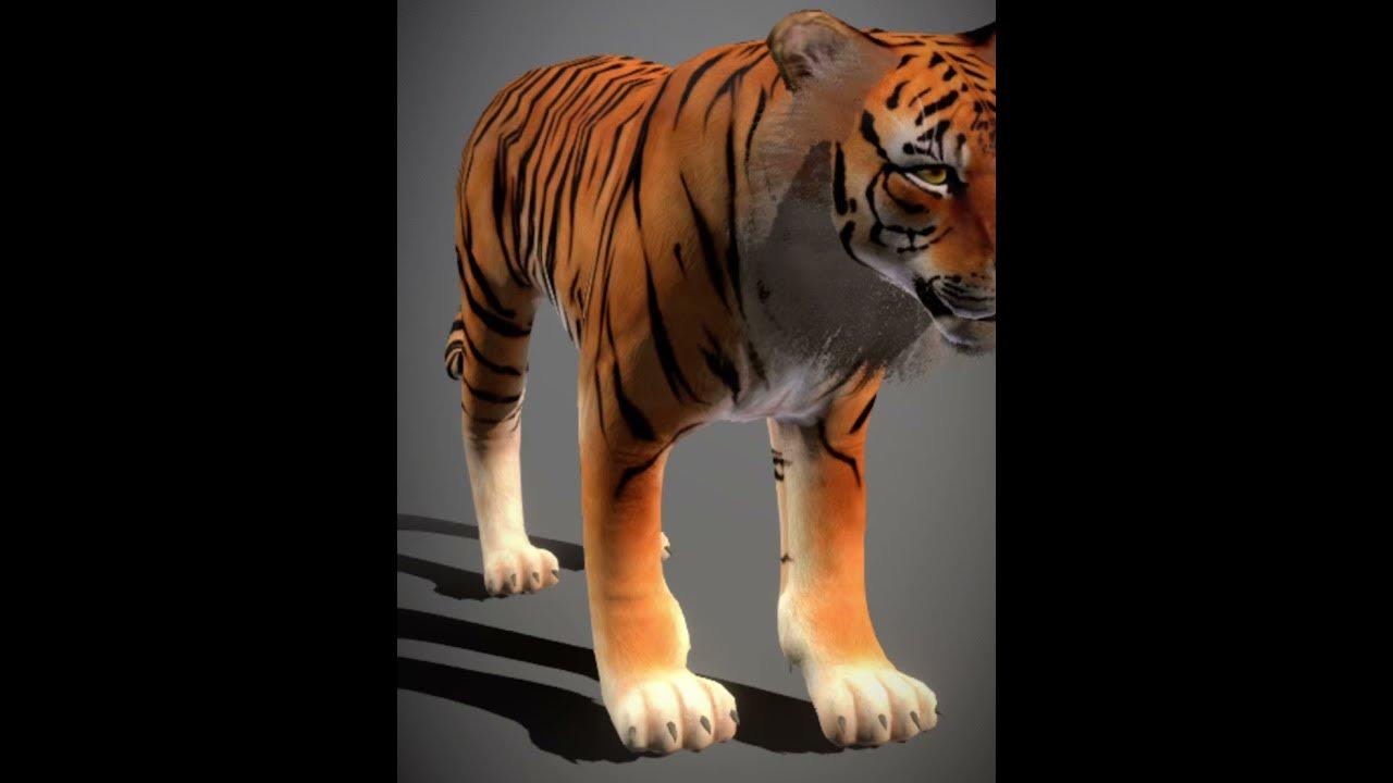 Sketchfab 3D Model Tiger - YouTube