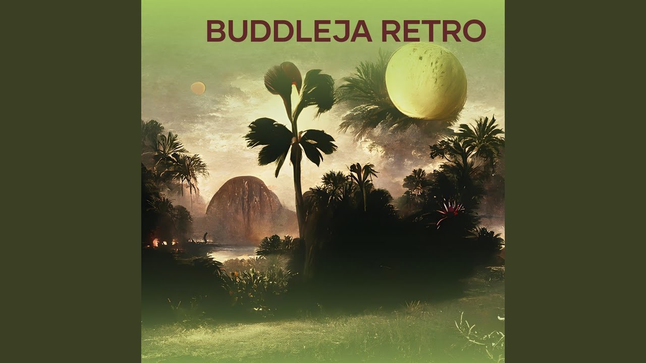 Buddleja Retro auf YouTube ansehen Buddleja Retro auf YouTube ansehen