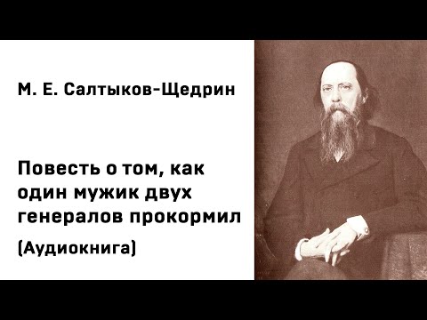 М  Е  Салтыков Щедрин Повесть о том, как один мужик двух генералов прокормил Аудиокнига Слушать Онла