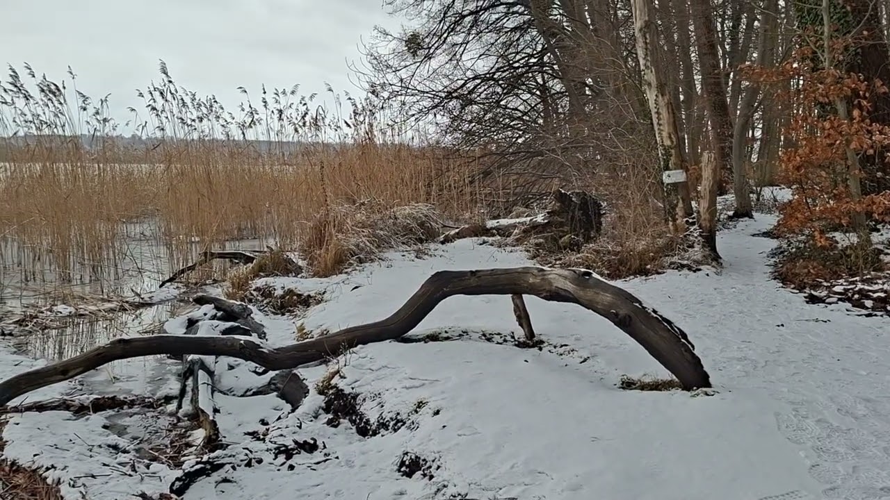 2026 02 Neubrandenburg see