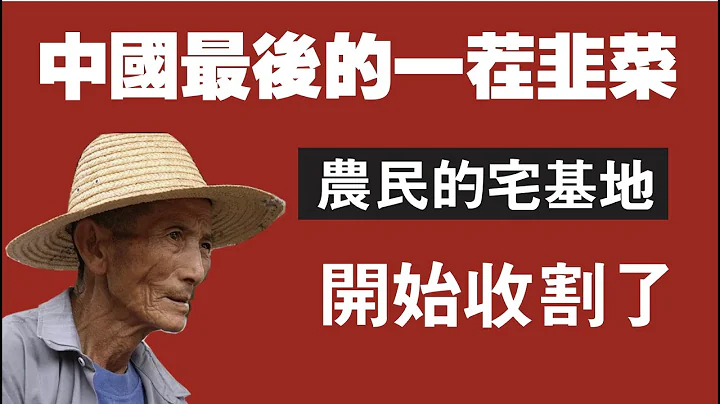 中國最後的一茬韭菜——農民的宅基地，開始收割了。2020.11.16NO560#宅基地#一戶一宅#中國農民 - 天天要聞