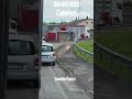 Reggio Emilia, si ribalta un camion carico di maiali: animali a zonzo