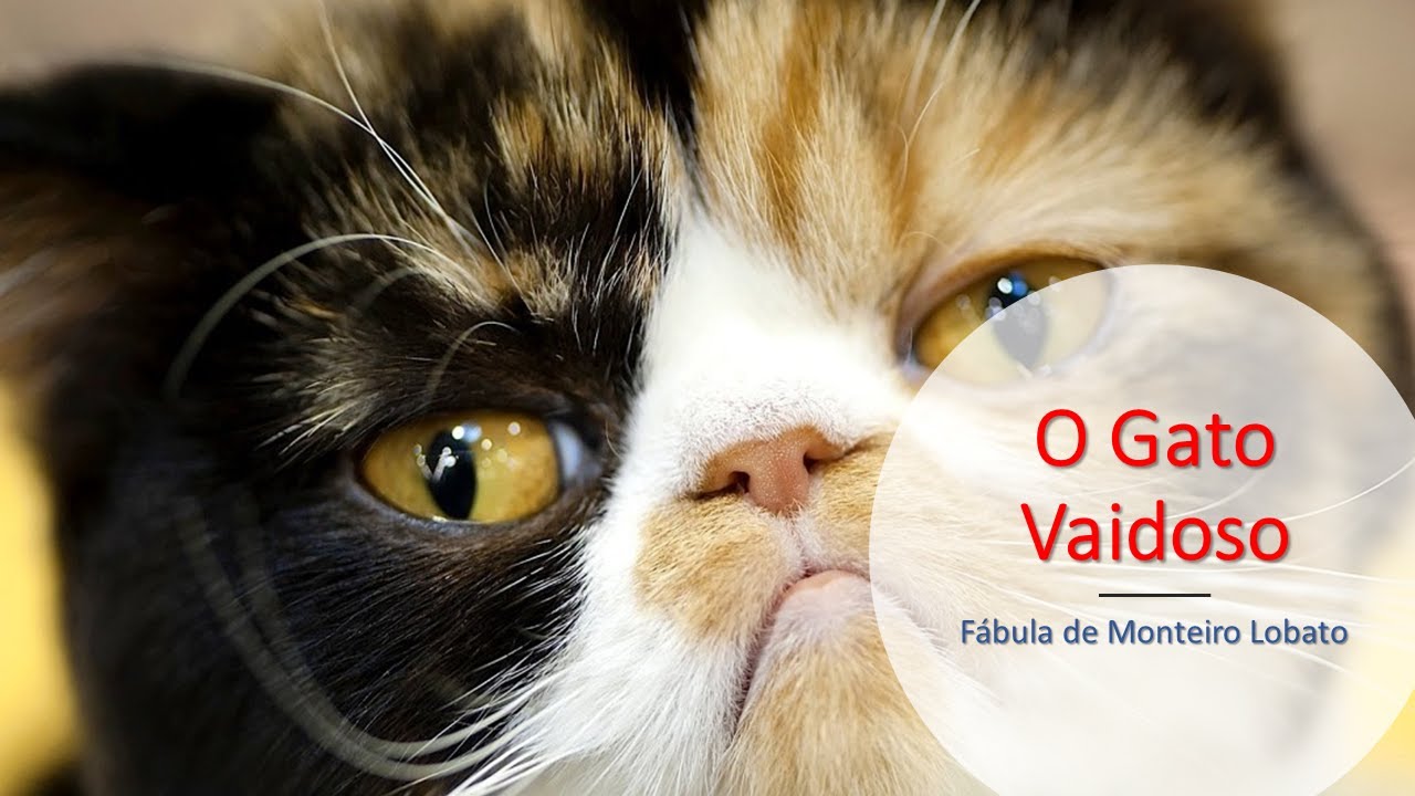 O gato vaidoso - fábula de Monteiro Lobato - YouTube