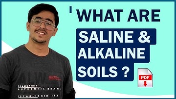 SALT AFFECTED SOILS - SALINE AND ALKALI / SODIC SOILS  #SSAC-221