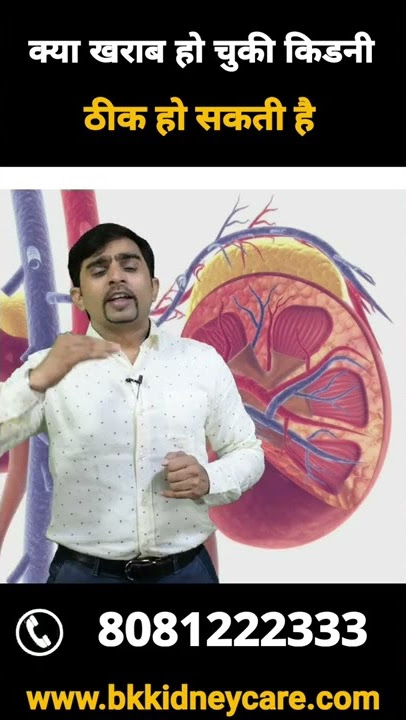 क्या खराब हो चुकी किडनी ठीक हो सकती है? | Can a damaged kidney be repaired?