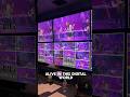 Olivia Rodrigo Season 52 Taping Night Recap