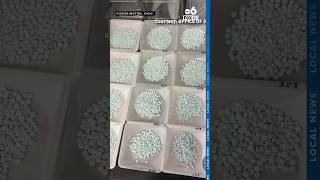 Ohio police bust suspected trafficker with 3,700 carfentanil pills in traffic stop