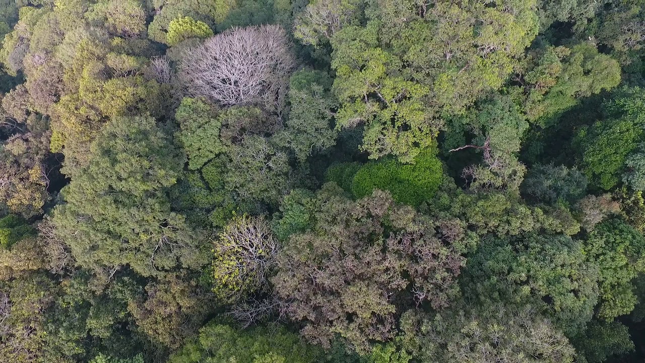 DJI 0369 - YouTube